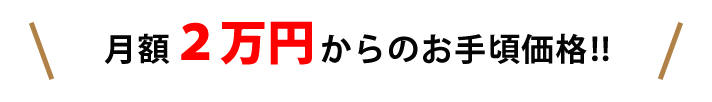 サービス内容：１回２時間、月２回ご訪問の場合を想定しています